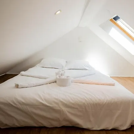 Litchi Lovely Loft With Ac Rue Du Paquier Апартаменти *